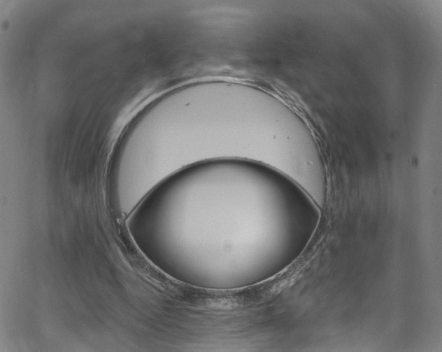 X0000063510344200601201057
