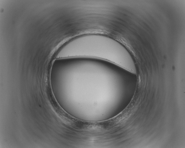 X0000063510348200601201057