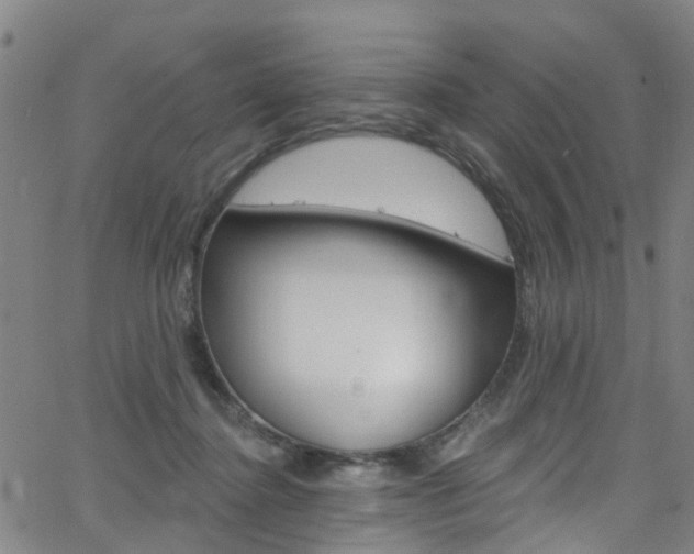 X0000063510364200601201057