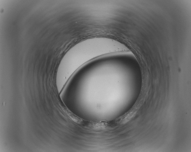 X0000063510384200601201058