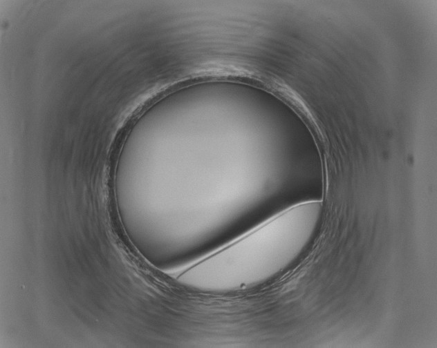X0000063510387200601201057