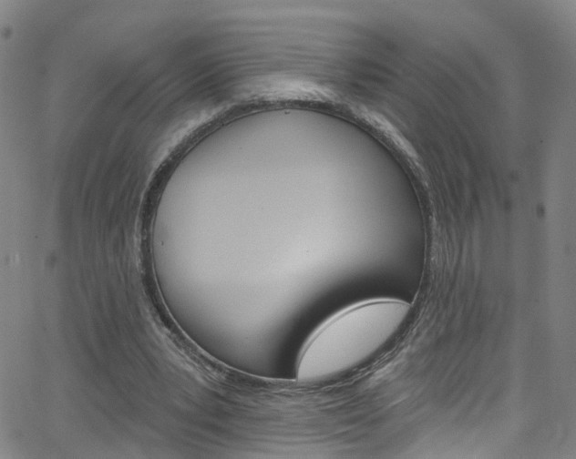 X0000063510391200601201057