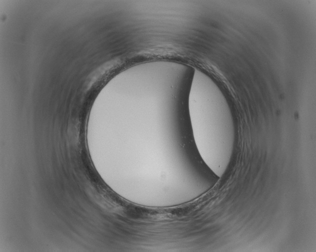 X0000063510396200601201057