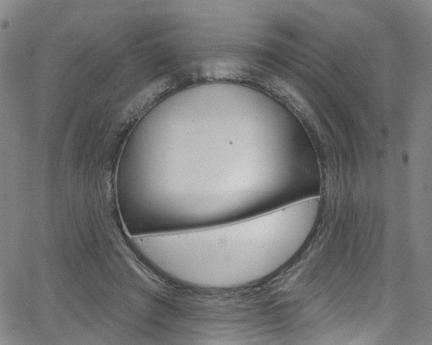 X0000063510401200601201057