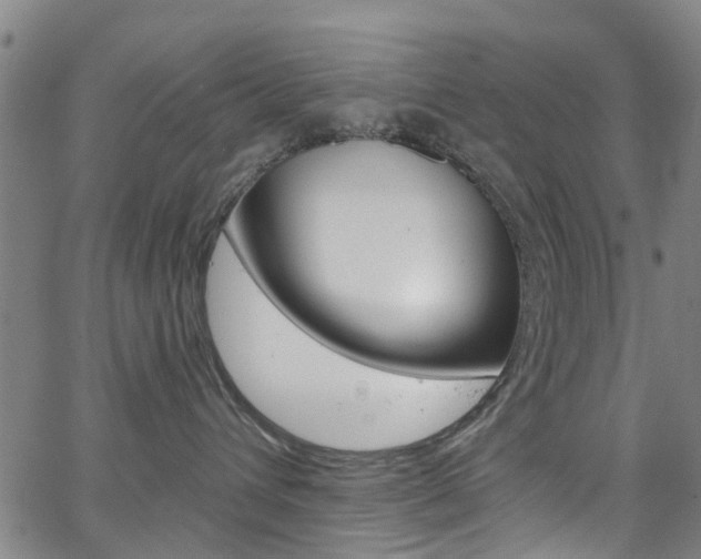 X0000063510432200601201056