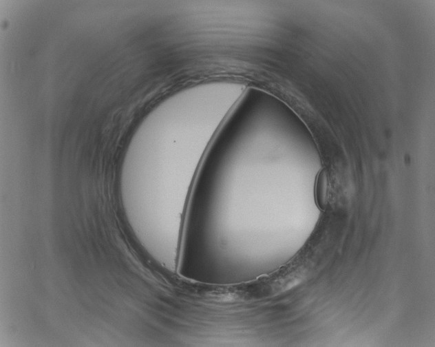 X0000063510454200601201056