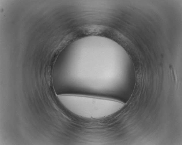 X0000063510460200601201056
