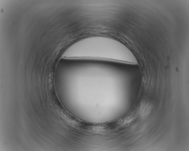 X0000063510462200601201056
