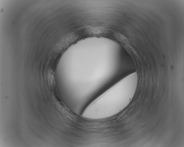 X0000063510476200601201056