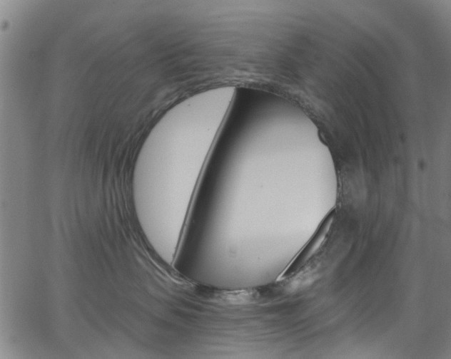 X0000063510479200601201056