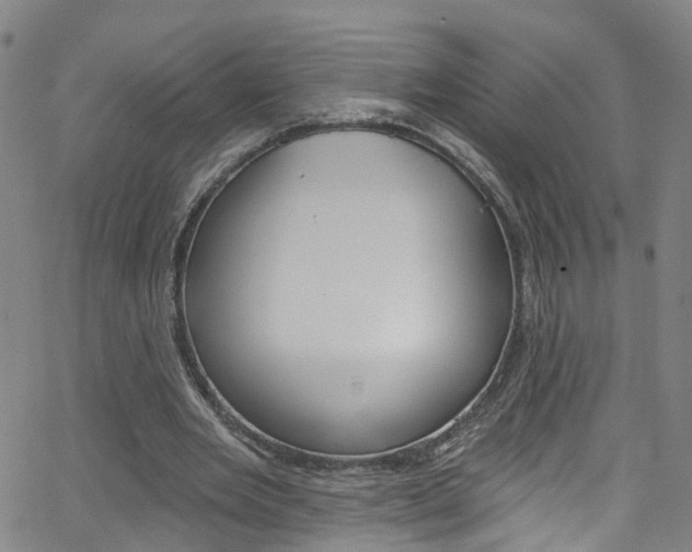 X0000063510485200601201055