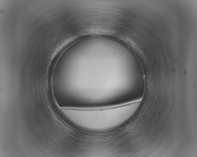 X0000063510488200601201055