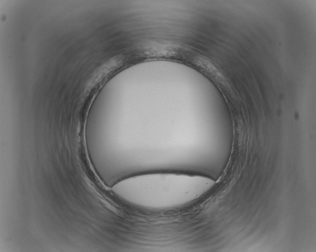 X0000063510490200601201055
