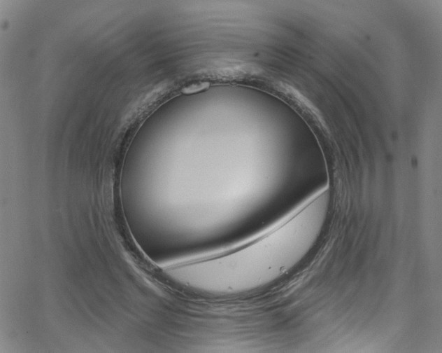 X0000063510493200601201055