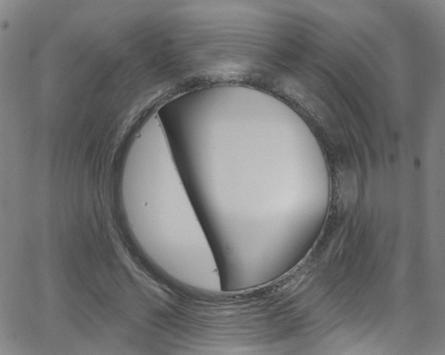 X0000063510494200601201055