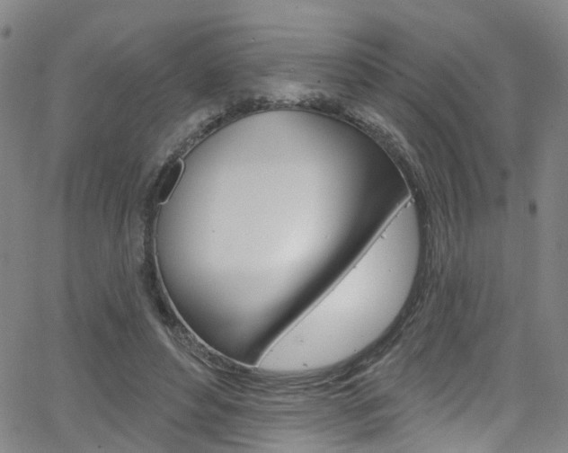 X0000063510496200601201055