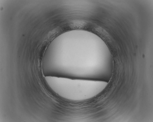 X0000063510498200601201055