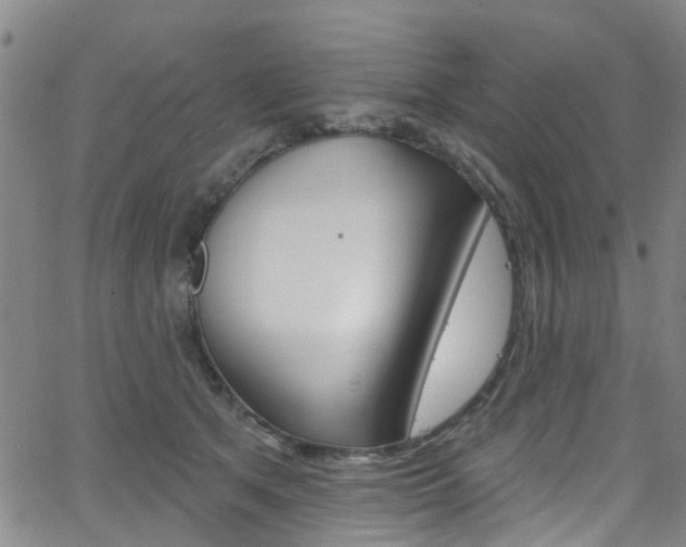 X0000063510513200601201055