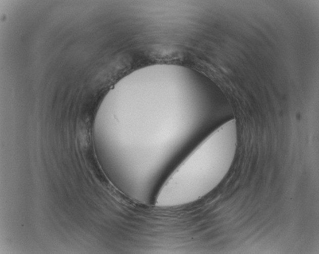 X0000063510515200601201055