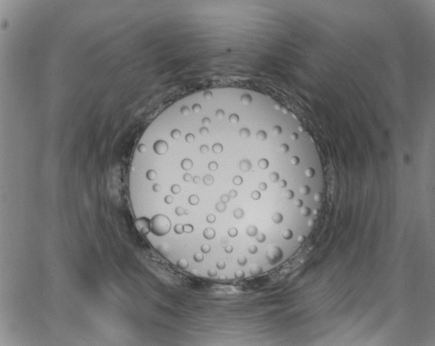 X0000063510519200601201055