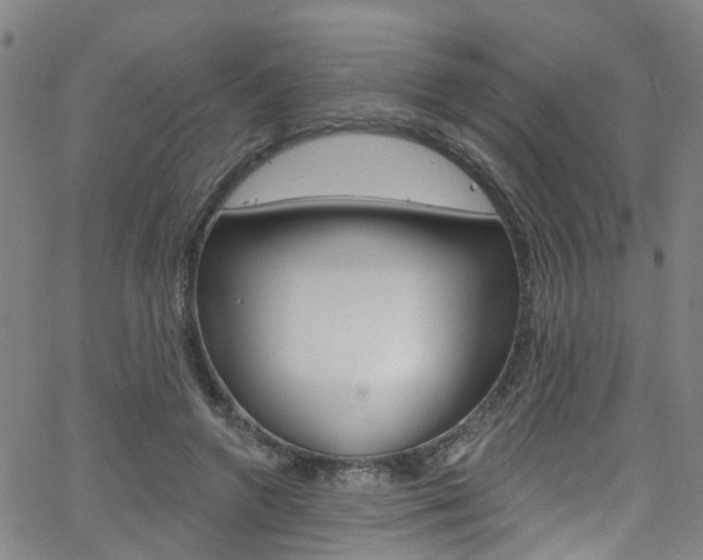 X0000063510546200601201054