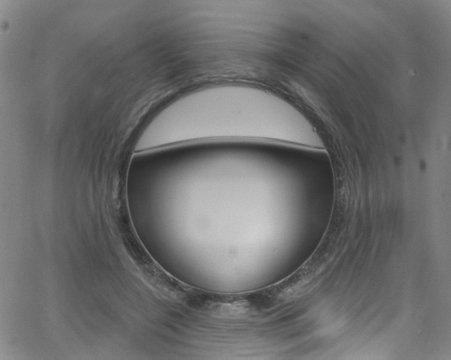 X0000063510548200601201054