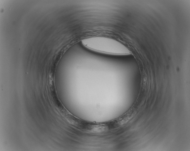 X0000063510555200601201054