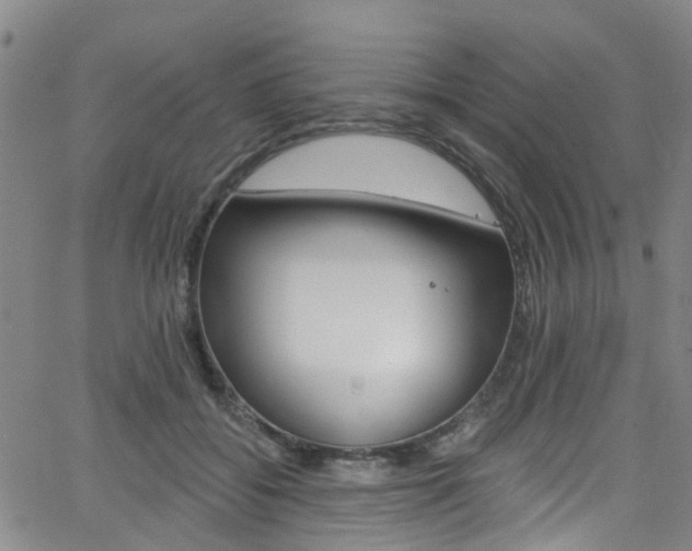 X0000063510556200601201054