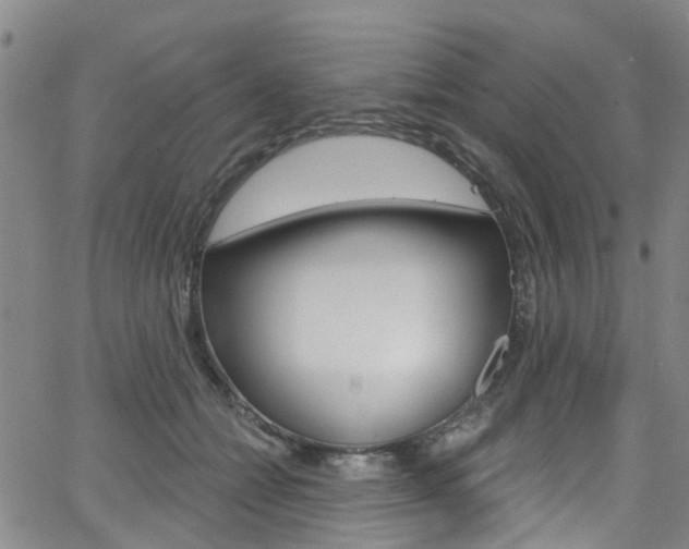 X0000063510558200601201054