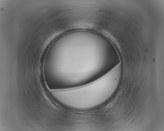 X0000063510580200601201054