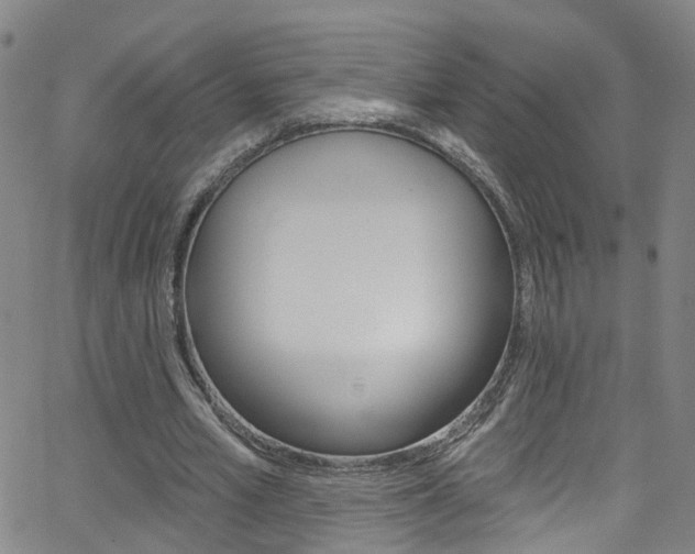 X0000063510581200601201054