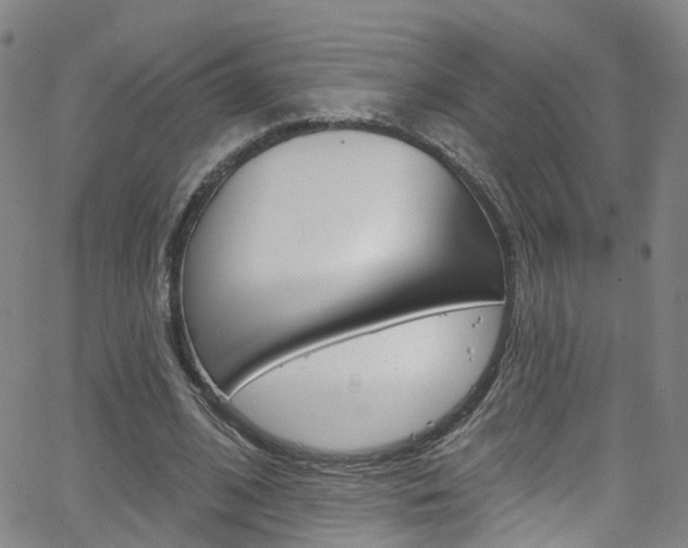 X0000063510584200601201054