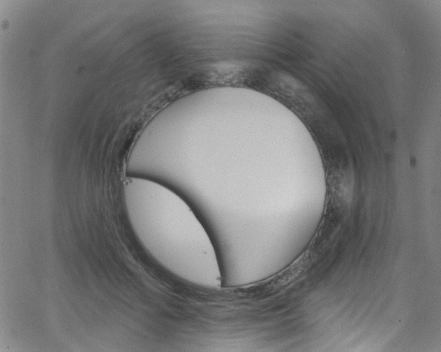 X0000063510602200601201053