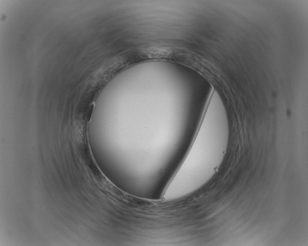X0000063510604200601201053