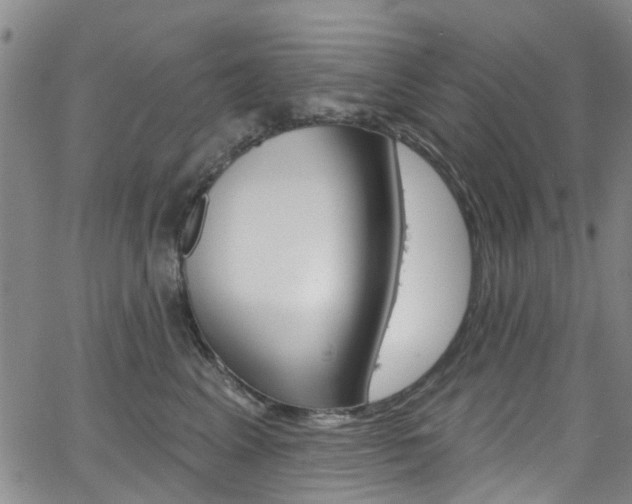 X0000063510617200601201053