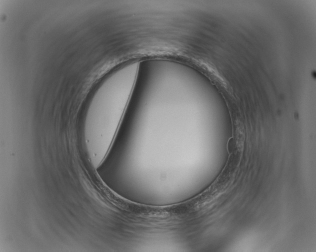 X0000063510631200601201052