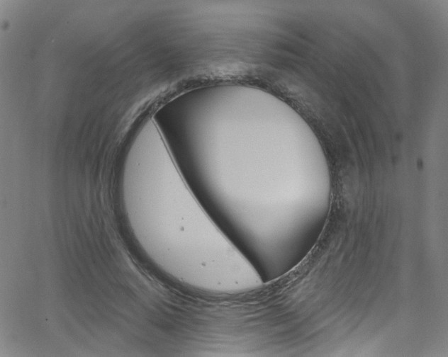 X0000063510640200601201052