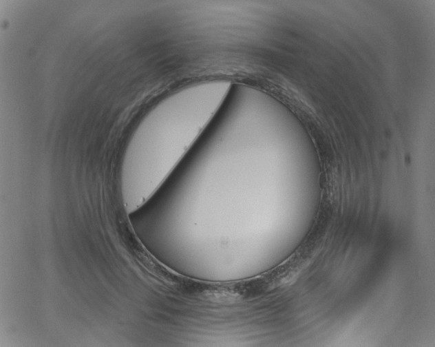 X0000063510644200601201052