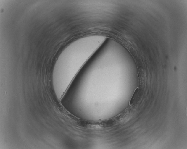 X0000063510649200601201053