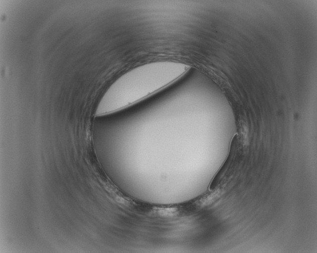 X0000063510665200601201053