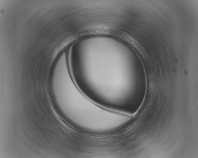 X0000063510677200601201052