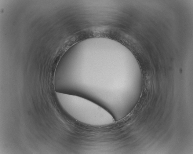 X0000063510698200601201052