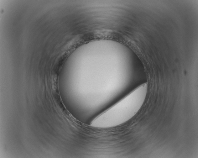 X0000063510712200601201051