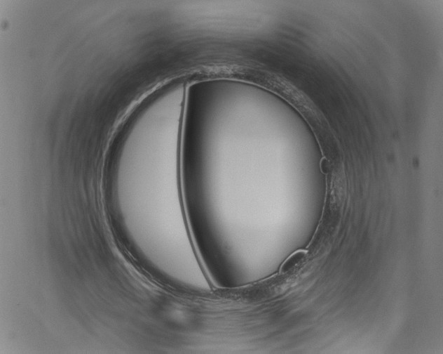 X0000063510722200601201051