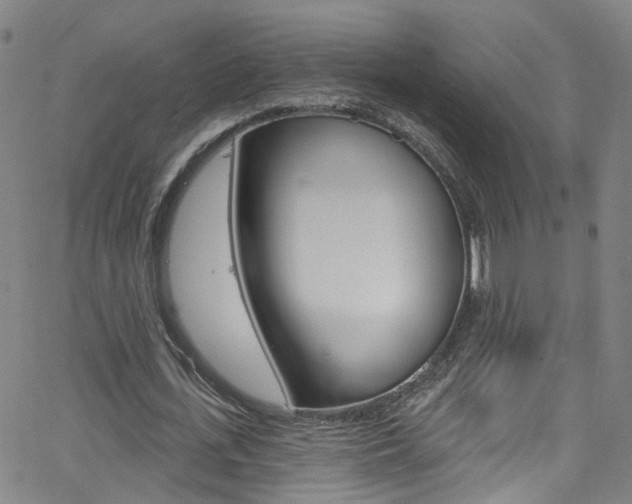X0000063510723200601201051