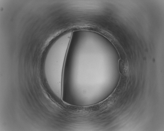 X0000063510732200601201051