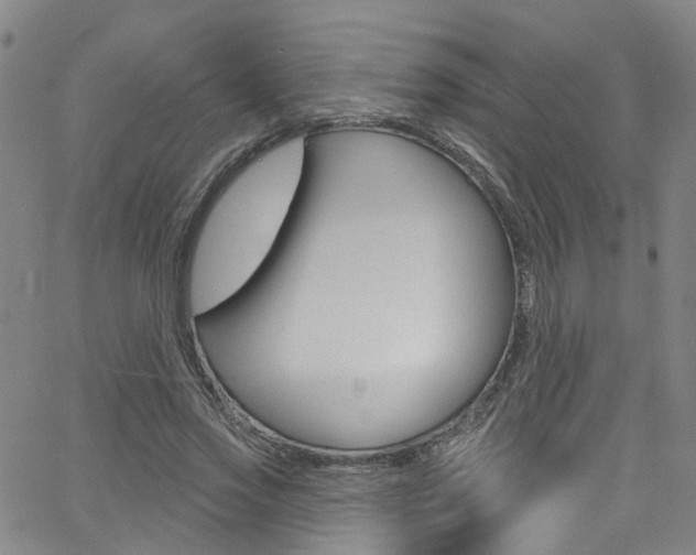 X0000063510733200601201051