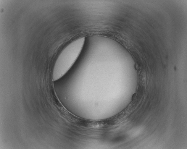 X0000063510746200601201051