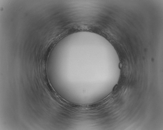 X0000063510747200601201051