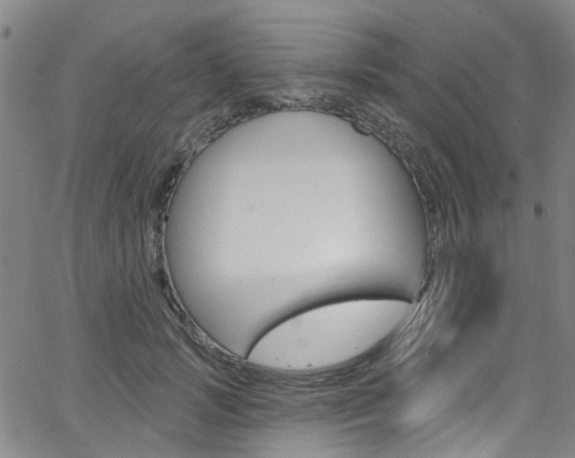 X0000063510749200601201051